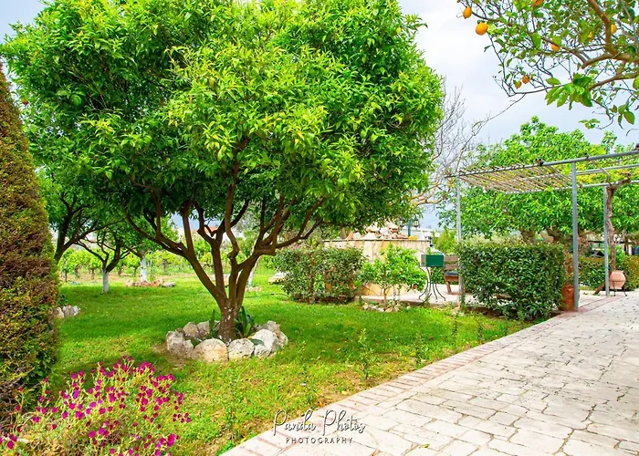 Lejlighed Zante Apts Laganas