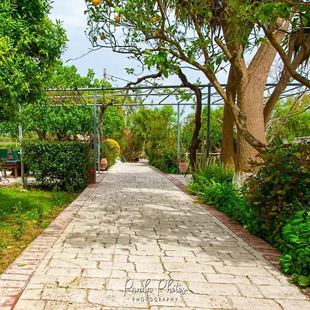 Apartamento Zante Apts