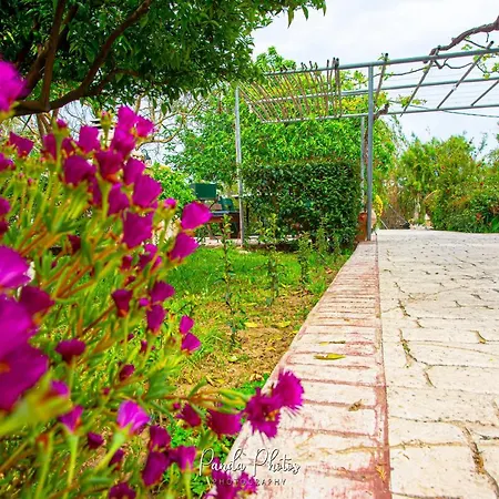 Zante Apts Laganas