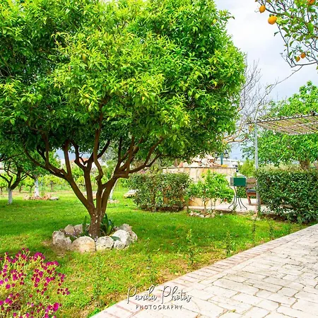 公寓 Zante Apts 拉加纳斯