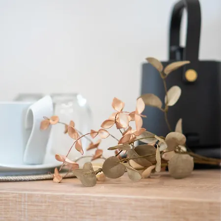 Zante Apts Laganász